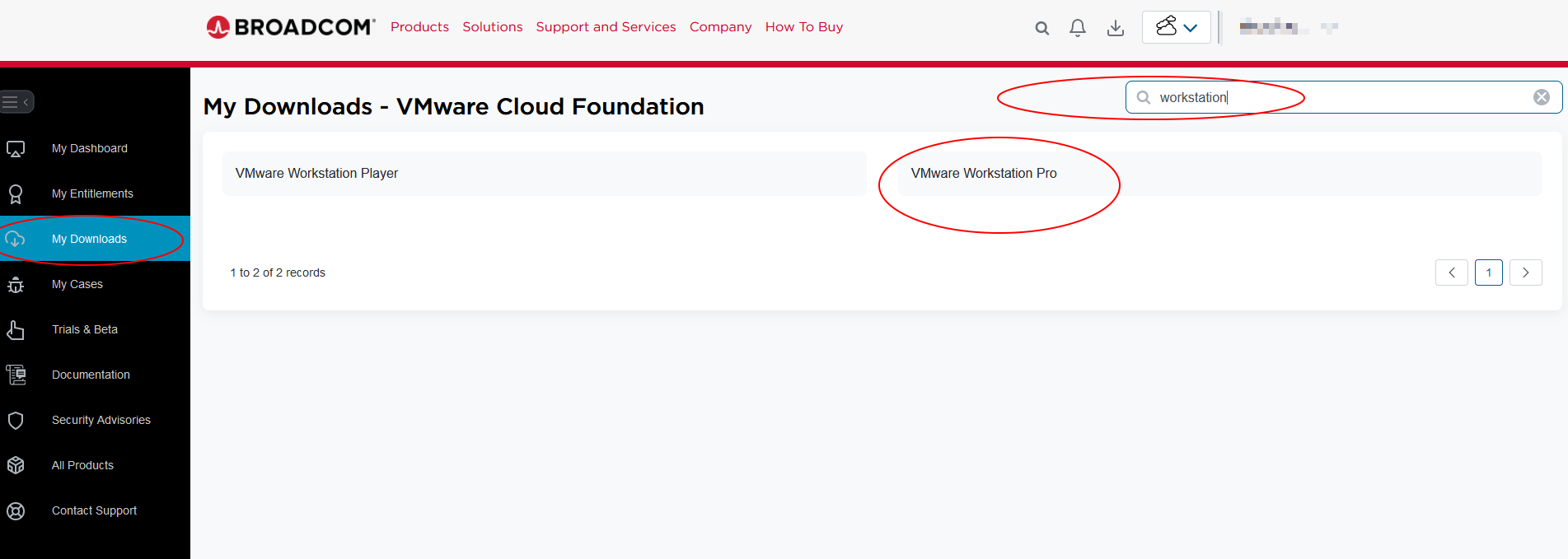Wyszukiwanie VMware Workstation